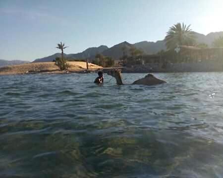 Nuweiba` Sebaii Camp السباعى كامب شاطئ الترابين بجوار ويت بالس旅舍 外观 照片