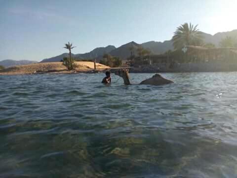 Nuweiba` Sebaii Camp السباعى كامب شاطئ الترابين بجوار ويت بالس旅舍 外观 照片