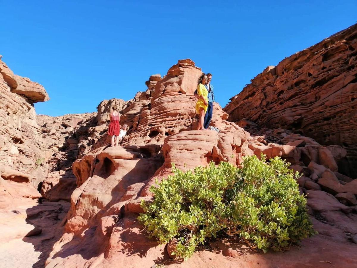 Nuweiba` Sebaii Camp السباعى كامب شاطئ الترابين بجوار ويت بالس旅舍 外观 照片