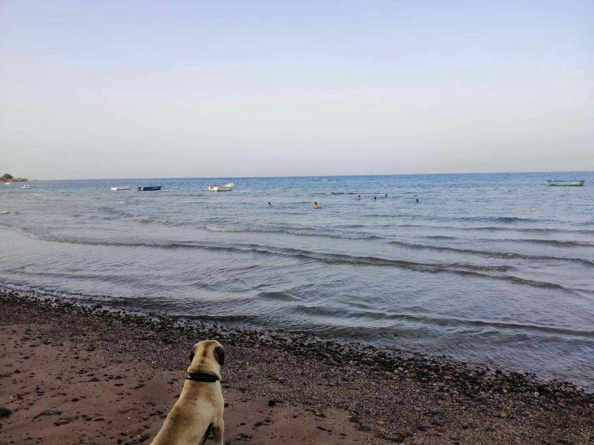 Nuweiba` Sebaii Camp السباعى كامب شاطئ الترابين بجوار ويت بالس旅舍 外观 照片