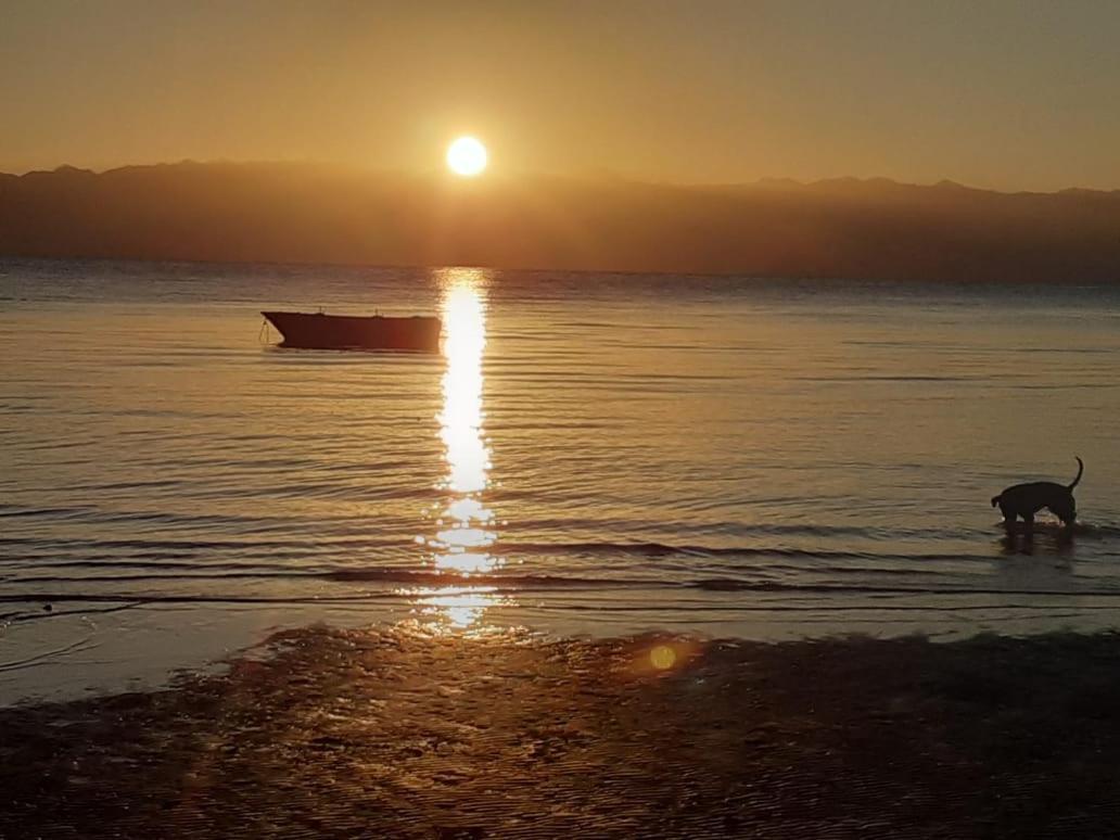 Nuweiba` Sebaii Camp السباعى كامب شاطئ الترابين بجوار ويت بالس旅舍 外观 照片